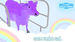 Ca khúc Con trâu già