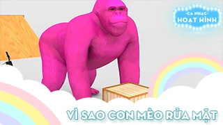 Ca khúc Vì sao con mèo rửa mặt 