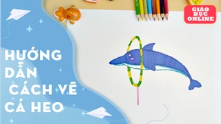 hướng dẫn bé vẽ và tô màu cá heo - Tập 3