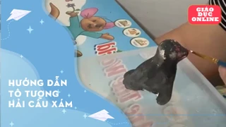 Hướng dẫn tô tượng hải cẩu xám