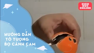Hướng dẫn tô tượng bọ cánh cam