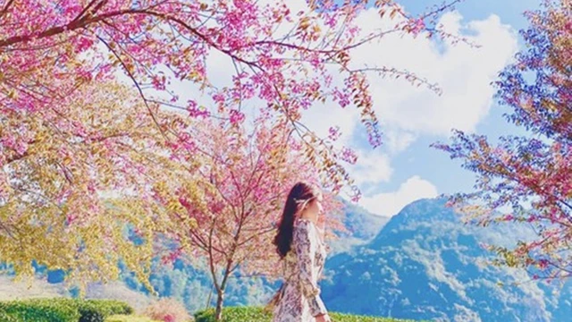 Khúc Du Xuân - Thanh Yên