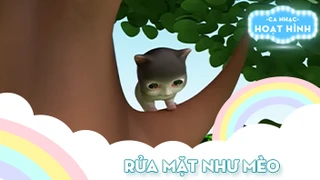 Ca khúc Rửa mặt như mèo 