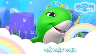 Ca khúc Cá mập con - 3