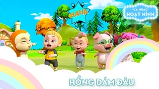 Ca khúc Hổng dám đâu (3)