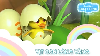 Ca khúc Vịt con lông vàng (2)