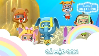 Ca khúc Cá mập con (7)