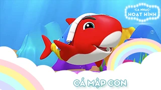 Ca khúc Cá mập con (8)