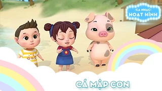 Ca khúc Cá mập con (12)