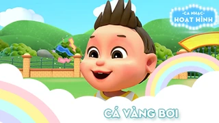 Ca khúc Cá vàng bơi (2)