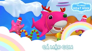 Ca khúc Cá mập con (14)