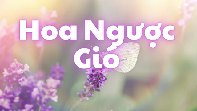 Hoa Ngược Gió - Jea Nam