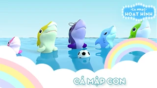 Ca khúc Cá mập con (18)