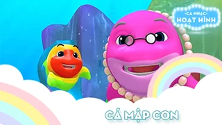 Ca khúc Cá mập con (22)