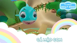 Ca khúc Cá mập con (21)