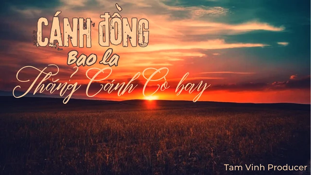 Cánh Đồng Bao La Thẳng Cánh Cò Bay - Tam Vinh Producer