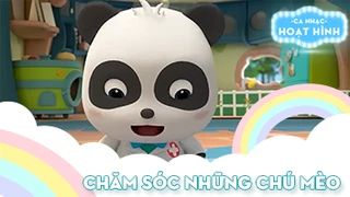 Ca khúc Chăm sóc những chú mèo