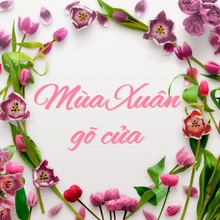 Mùa Xuân gõ cửa