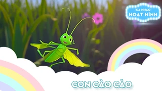 Ca khúc Con cào cào (22)