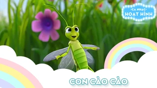 Ca khúc Con cào cào (21)