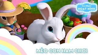 Ca khúc Mèo con ham chơi (14)