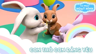 Ca khúc Con thỏ con đáng yêu (6)