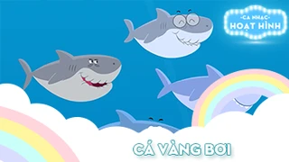 Ca khúc Cá vàng bơi (48)