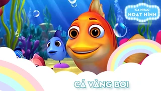 Ca khúc Cá vàng bơi (49)