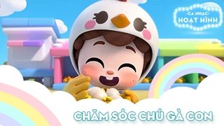 Ca khúc Chăm sóc chú gà con