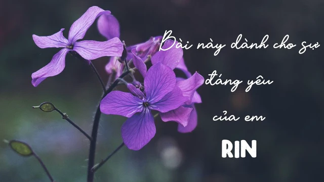 Bài Này Dành Cho Sự Đáng Yêu Của Em - Rin