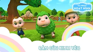 Ca khúc Đàn cừu xinh yêu