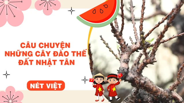 Câu chuyện những cây đào thế đất Nhật Tân