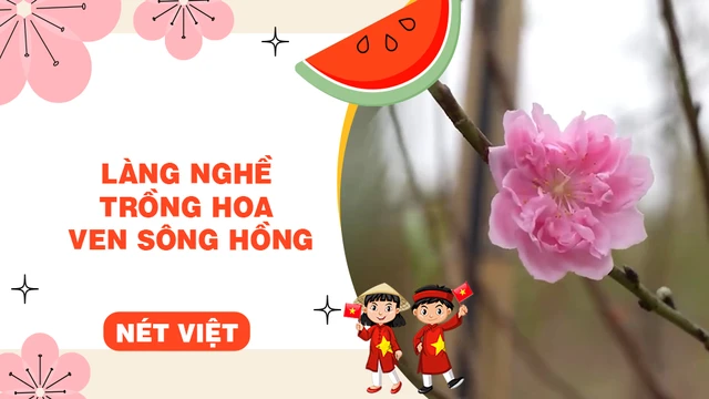 Làng nghề trồng hoa ven sông Hồng