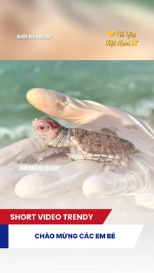 Chào mừng các em bé