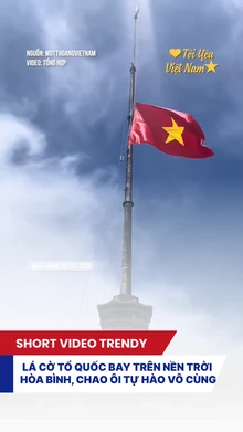 Lá cờ Tổ Quốc bay trên nền trời hòa bình, chao ôi tự hào vô cùng