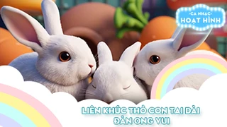 Liên khúc Thỏ con tai dài và Đàn ong vui